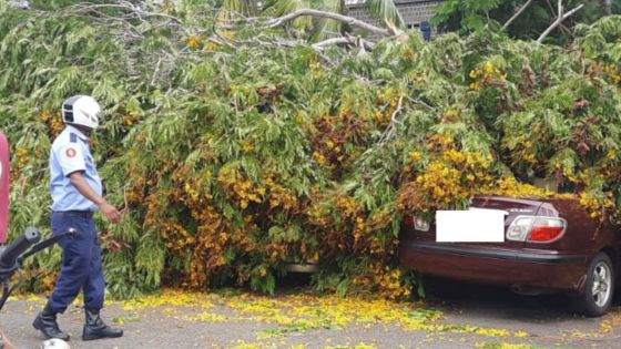 Cyclone Freddy : une dizaine d’interventions de pompiers depuis ce matin 