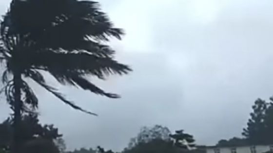 Cyclone Freddy : des rafales de l’ordre de 100 km/h enregistrées au Champ de Mars