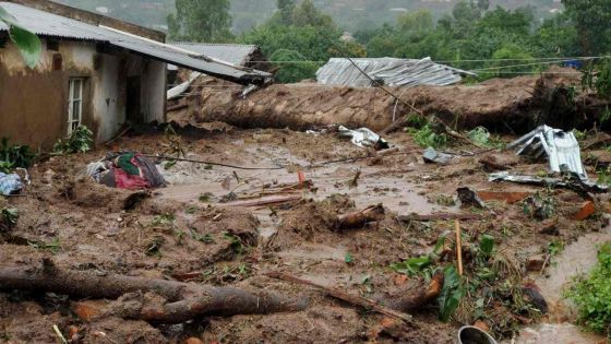 Freddy, un cyclone exceptionnel