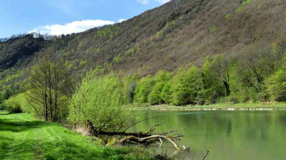 Un couple se noie en tentant de sauver son chien