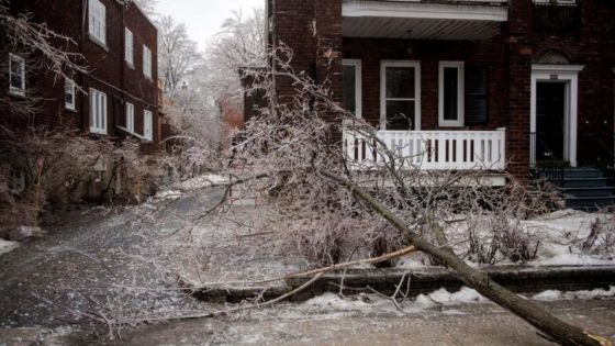 Plus d'un million de Canadiens privés d'électricité en raison d'une tempête