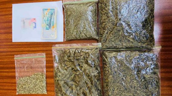 Quatre-Bornes : découverte de Rs 1 M de cannabis de «première qualité» dans un haut-parleur