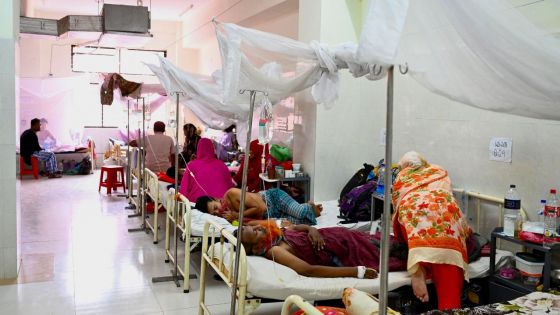 Le Bangladesh frappé par sa pire épidémie de dengue, avec plus de 1 000 morts cette année