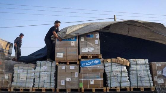 Plus de 30 camions d'aide humanitaire sont entrés à Gaza dimanche, annonce l'ONU