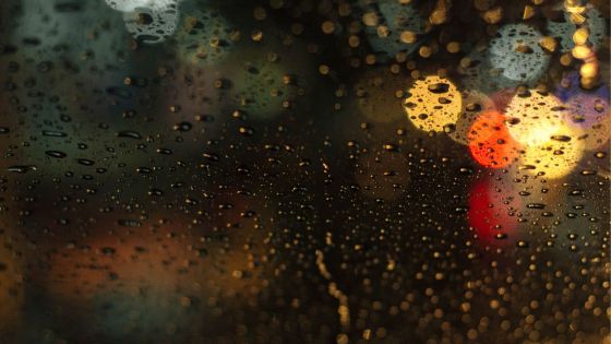 Météo : de fortes pluies prévues le jour de Noël 