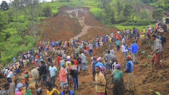 Glissement de terrain en Ethiopie : 257 morts, le bilan pourrait atteindre les 500, selon l'ONU