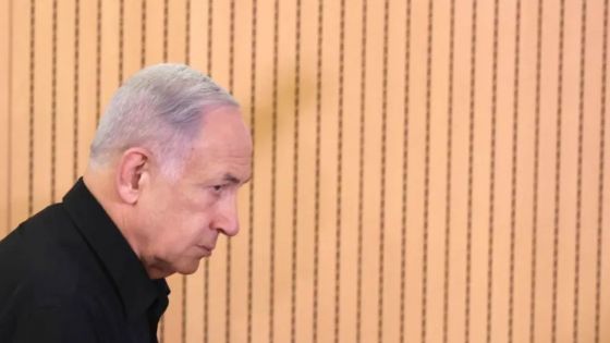 «Nous continuerons» : Netanyahu affirme qu'il n'y aura pas de cessez-le-feu