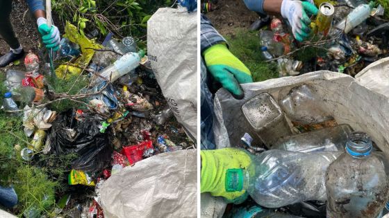Île-aux-Bénitiers : 138,28 tonnes de débris déjà retirées