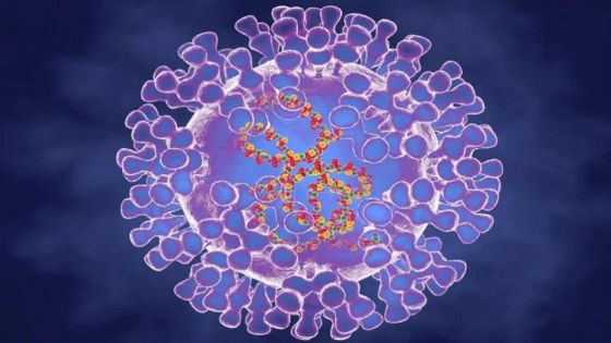 Variole du singe: 780 cas dans les pays non endémiques, selon l'OMS