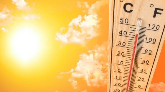 La météo extrême de l'été 2025 a coûté 43 milliards d'euros à l'Europe, estime une étude