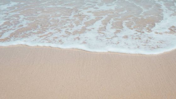 Assomption : la petite île qui est devenue un enjeu majeur des élections seychelloises