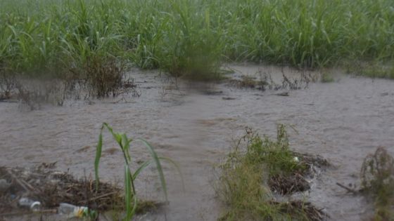 Météo : Maurice sous le coup d’un nouvel avertissement de fortes pluies 