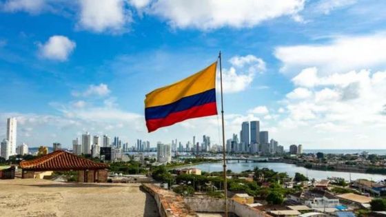 Cultures de drogues: la Colombie bat un record historique avec 204.000 ha en 2021 (ONU)