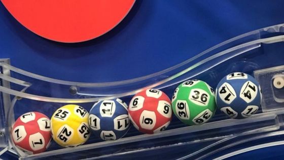 Aucun grand gagnant pour le Loto et le Loto Plus