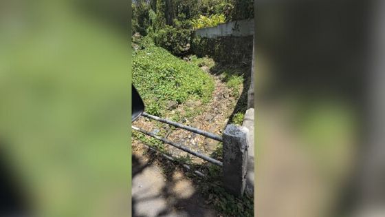 Une rivière émanant du bassin Mesnil asséchée après une obstruction, selon une habitante