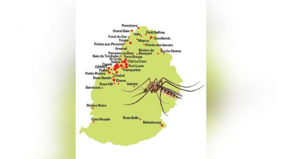 Dengue : le nombre de cas recensés chaque jour alarmant 