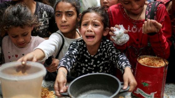 Gaza : les opérations humanitaires au bord de l'effondrement total, affirme la Croix-Rouge