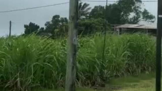 Cyclone Freddy : des fils électriques n’ont pas résisté aux rafales comme ici à Grand-Bois 