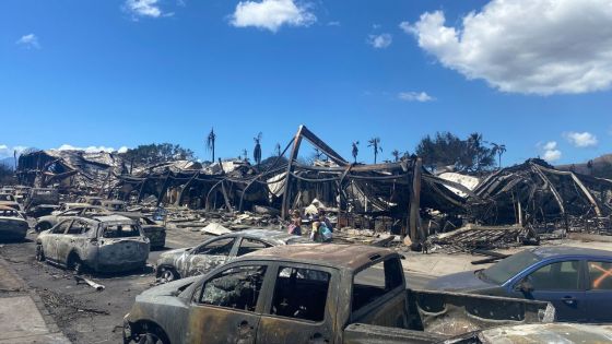 Incendies à Hawaï: au moins 80 morts, enquête ouverte sur la gestion de la crise
