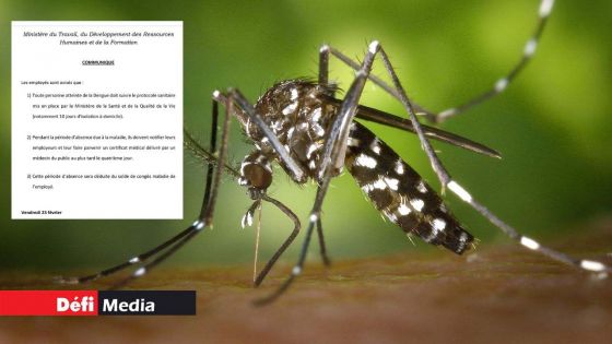 Dengue : dix jours d'isolation à domicile pour toute personne atteinte de la maladie 