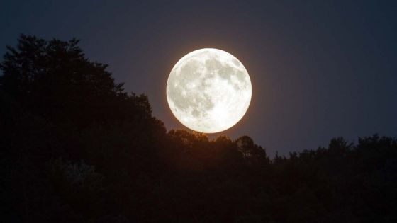 Une super lune visible à partir de ce jeudi soir