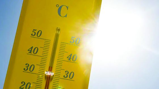Vague de chaleur : plusieurs régions ont enregistré plus de 34°C
