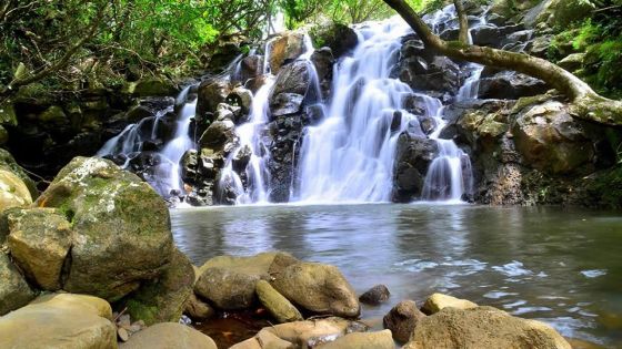 A La Vallée des Couleurs : le corps d’un homme repêché d’une rivière 