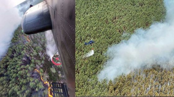 Allemagne : 700 personnes évacuées à cause d'un incendie de forêt près de Berlin