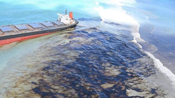 Marée noire : les effets du carburant du MV Wakashio moins nocifs que redouté, selon l’Indian Ocean Rim Association