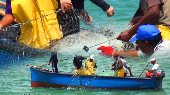 Ouverture de la pêche à la senne 