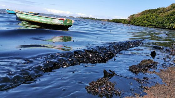 Des experts japonais en route à Maurice pour participer à la dépollution