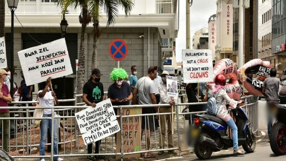 [En images] Manifestation pacifique : des citoyens réclament un «autre comportement» dans l’hémicycle