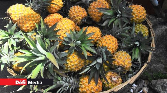 Son frère lui vole ses ananas qu’il destinait à la vente