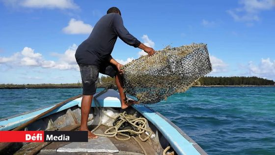 Consultations pré budgétaires : L’ouverture d’une école maritime demandée par les associations de pêcheurs