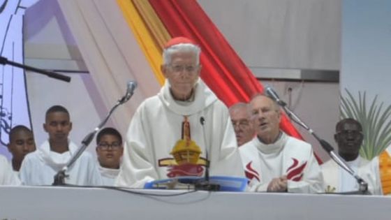 Cardinal Piat : «L’éducation en primaire n'est pas adaptée pour 30 % des enfants»