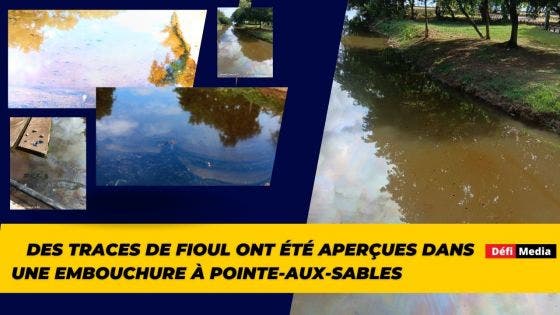 Pointe-aux-Sables : découverte de traces de fioul dans une embouchure