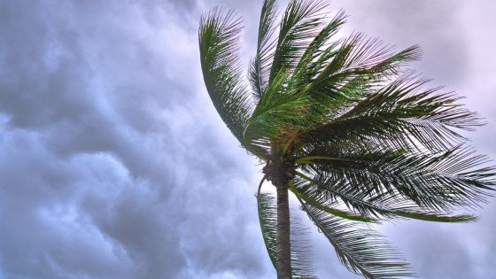 Météo : un assez fort anticyclone s’approche de Maurice