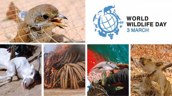 World Wildlife Day: Listening to young voices