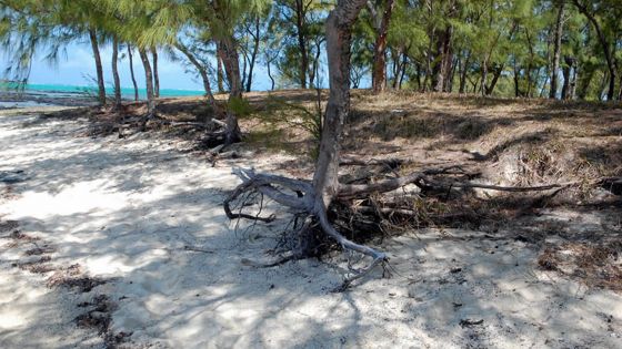 Érosion des plages: le gouvernement injecte Rs 116 M