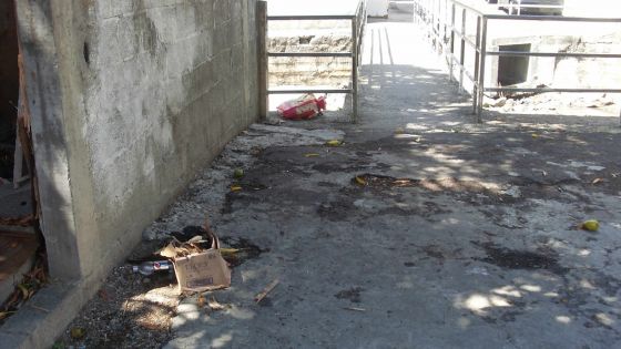 Histoire de poubelles à Vallée-Pitot: les éboueurs pointés du doigt