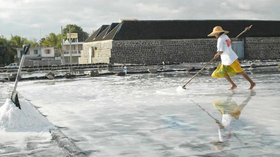 Les Salines, Rivière-Noire : premiers coups de pioche pour six projets hôteliers