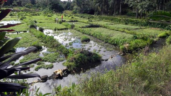 Le Val Nature Park à l’abandon