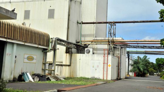 Lourdement endettée: Rose-Belle Sugar Estate vend et loue ses terres