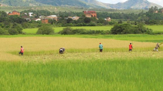 Maurice-Madagascar: une coopération logique mais inexploitée