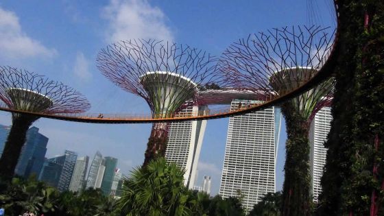 Singapour: féerie artificielle