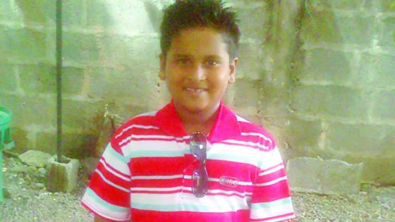 L’adolescent souffre d’une insuffisance rénale: les parents de Sharvan veulent que leur fils subisse une transplantation en Inde