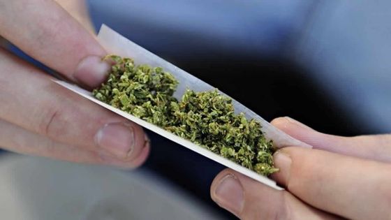 Cannabis : un ado de 14 ans arrêté 