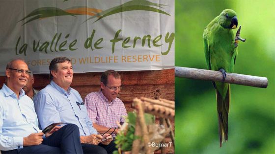 Release of Echo Parakeets in La Vallée de Ferney
