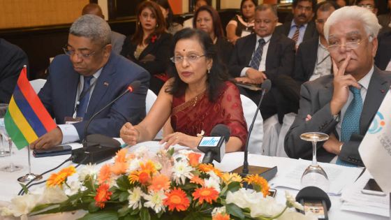 Commission de l’océan Indien: l’association des parlementaires des pays membres lancée
