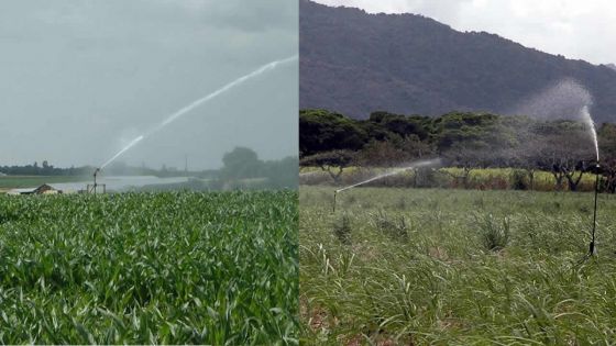 Irrigation dans le Nord: onze pivots en panne: la frustration des planteurs